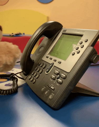 phone ringing